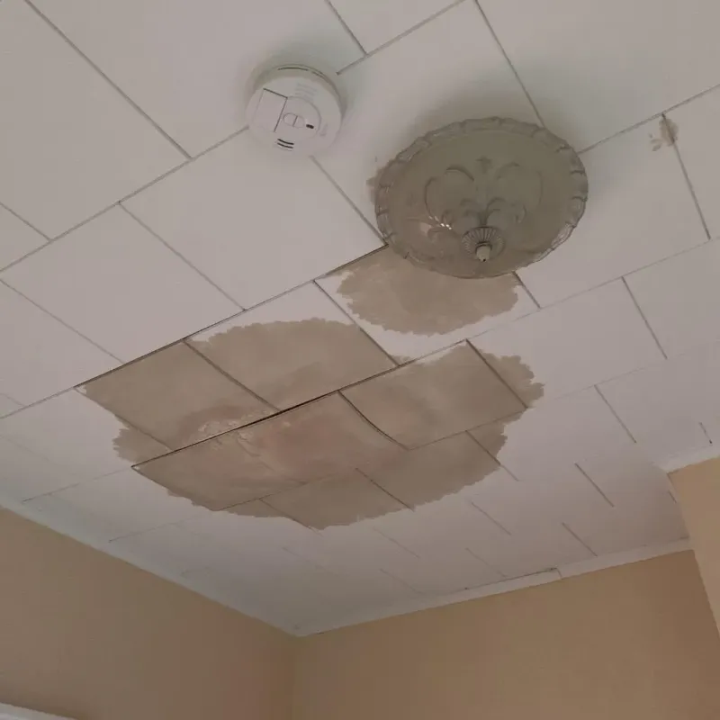 Ceiling Water Damage Repair in Sykesville, PA