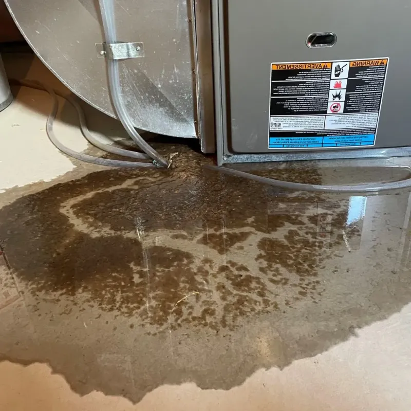 Pipe Burst and Leak Restoration in Sykesville, PA