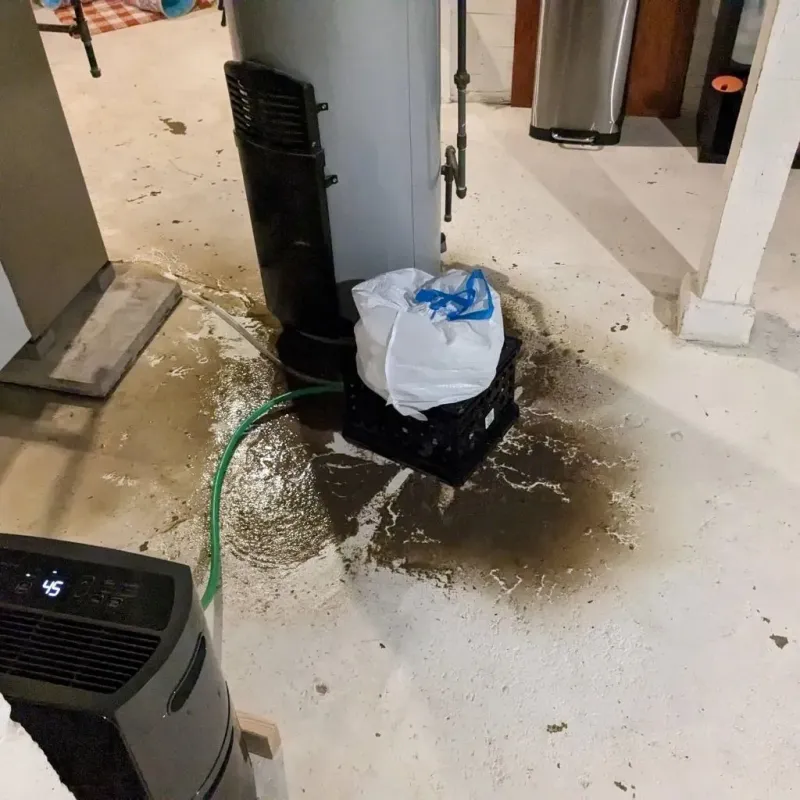Sewage Backup Cleanup Service in Sykesville, PA